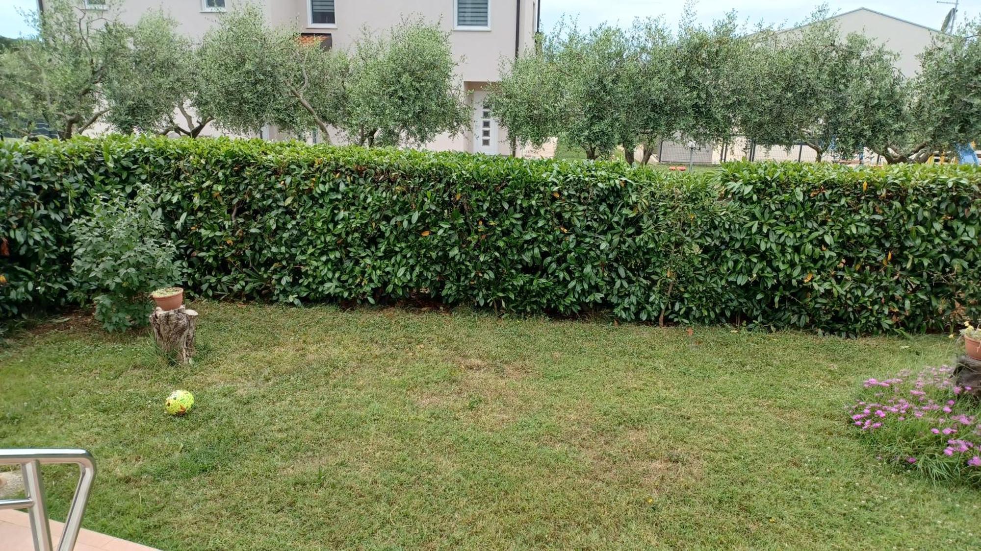 Apartments Villa Adamovic Umag Dış mekan fotoğraf